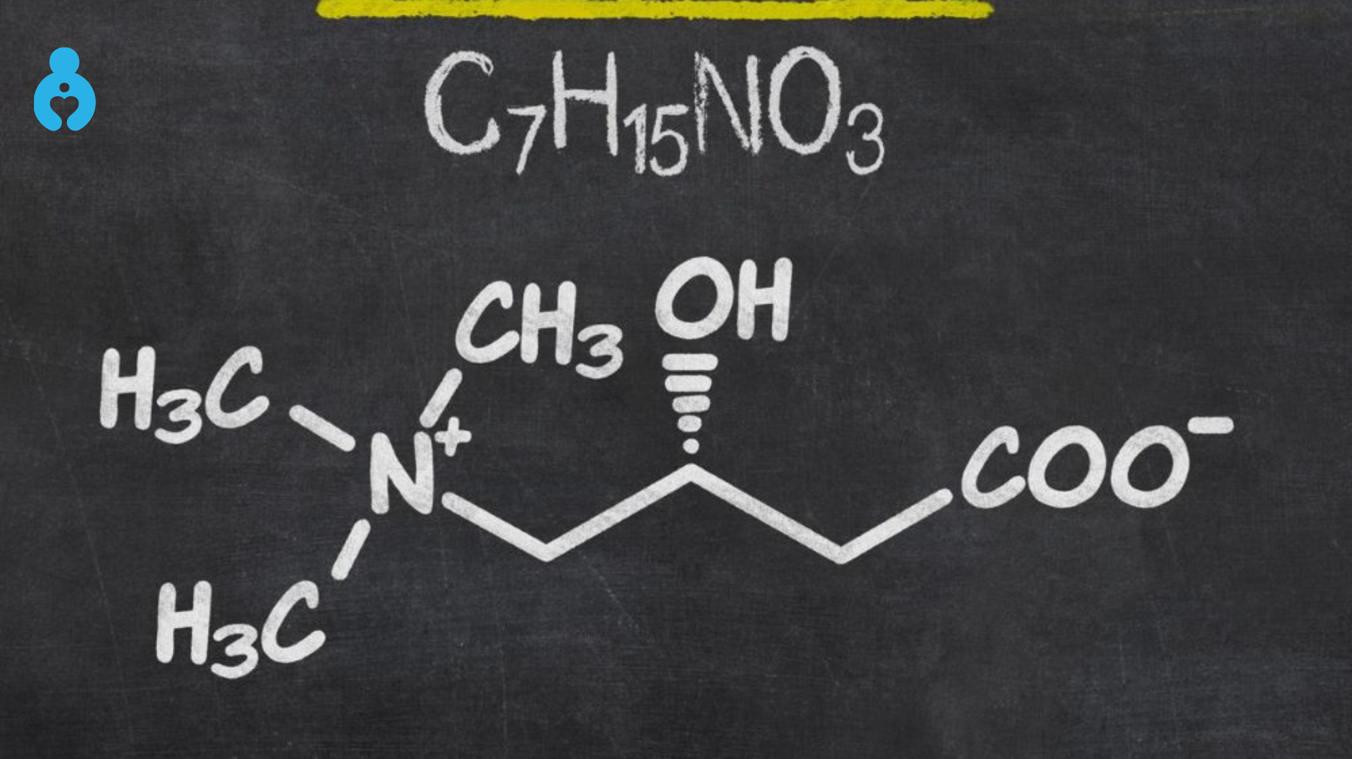 L-carnitine 1000