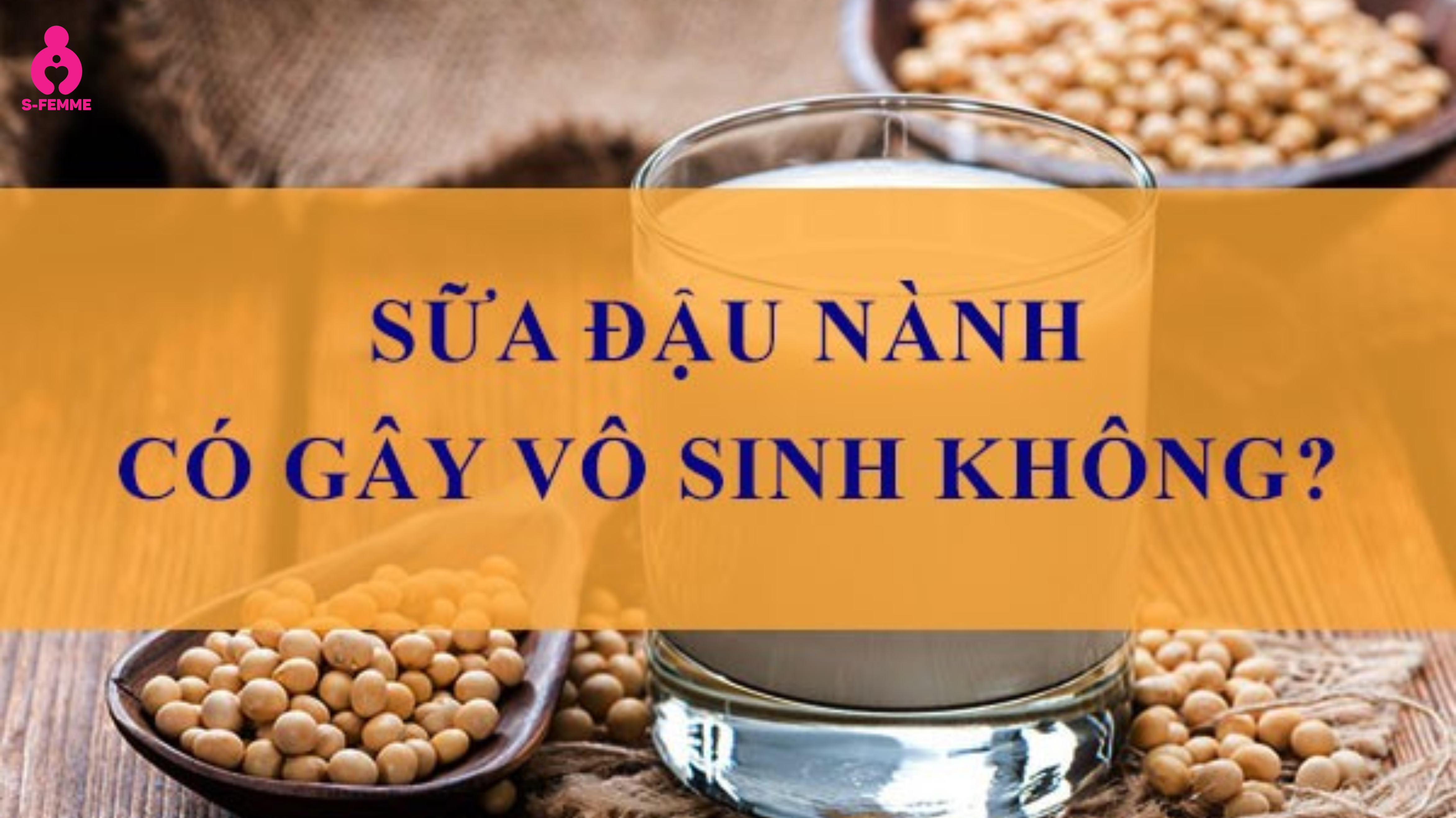 sữa đậu nành có gây vô sinh không
